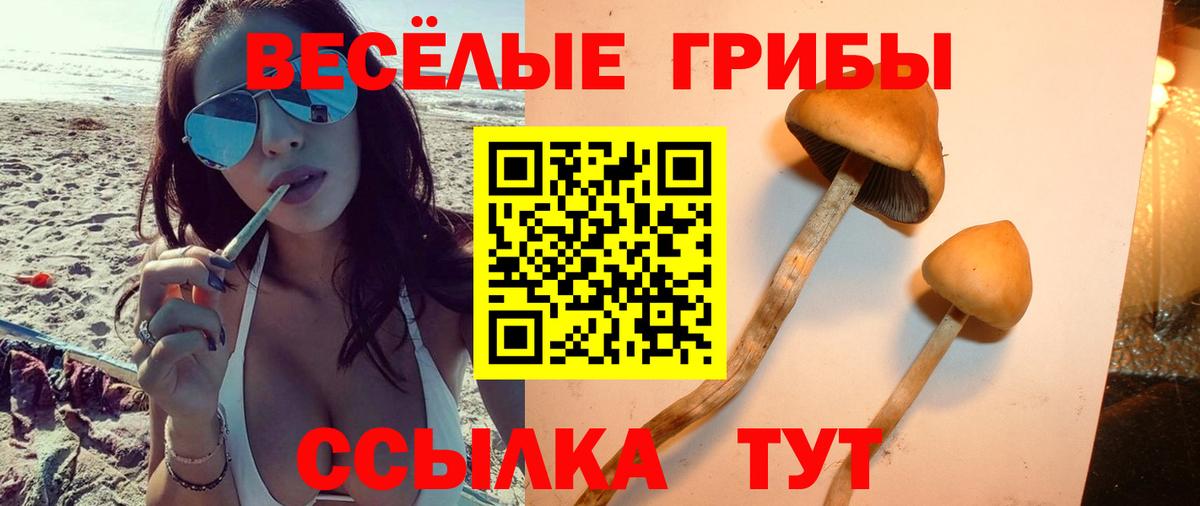 Бугуруслан  Галлюциногенные грибы мицелий  Вход с VPN  Галлюциногенные грибы MAGIC MUSHROOMS 